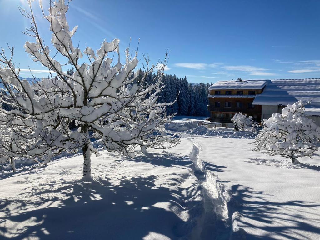 Apartamento Stockreutehof Sulzberg  Exterior foto